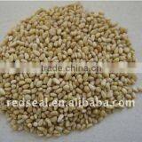 New Crop Chinese Pine Nut Kernels