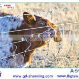 Models of Gates and Iron Fence