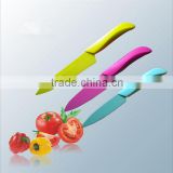 Royal Ceramic kitchen knife with color printing