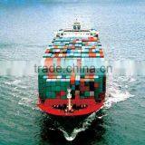 LOGISTICS SERVICE MONGLA