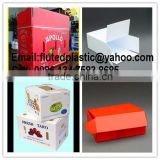 Recycle and reusable corrugatd PP plastic box for packing and storage