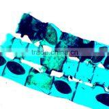 Biological Microscope Teaching Prepared Slides Factory for Indonesia Market