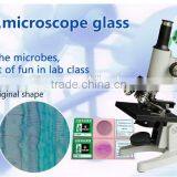 Fibrous Hyperplasia of Bone Sec. Oral Histology Pathology Parasitology Prepared Slides thumbnail-5