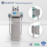 High Performance Fast Weight Loss Fat Freezing Cryolipolysis Fat Reduction Machine Cellulite Reduction thumbnail-1