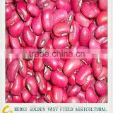 Crop 2015 new crop Red cowpea beans