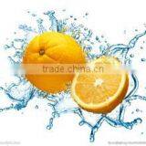 New Condition Commercial Washing Machine Fruit Washing Machine / Vegetable Washing Machine Apple Washer With Brush Rollers thumbnail-6