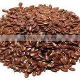 Flax Seed (Linum Usitatissimum)
