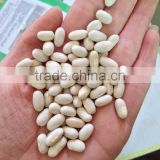 Chinese bean supplier with seeds