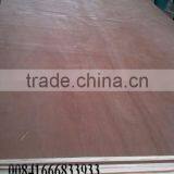 Furniture Grade Laminated 18mm Eucalyptus Plywood thumbnail-3