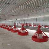 Complete Controlled Automatic Poultry Chicken Farm Equipment for Broiler thumbnail-1