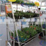 Hot Sale Outdoor Wooden Flower Display Cart thumbnail-3