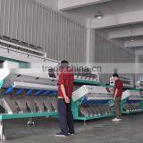 High Cetificate Hot Selling Professional Raisins Colour Sorter Supplier thumbnail-5