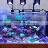 Anti-skidding Reef Aquarium Led With Price thumbnail-3