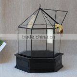 Micro Landscape Indoor Glass Greenhouse/ Clear Glass Indoor Plant Terrarium /Geometric Glass Terrarium thumbnail-2