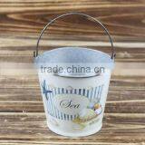 Hot Sales Autumn Sea Design Metal Bucket for Garden Decoration thumbnail-1