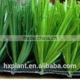 High Quality Garden Field Green Artificial Grass for Football Field thumbnail-3