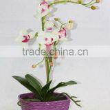 Artificial Coated Phalaenopsis Orchids Bonsai thumbnail-1