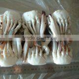 Best Quality China Live Crabs thumbnail-1