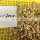 Frozen Baby Clam Meat Export Levels Quality thumbnail-4