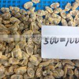 Export Class Quality Frozen Baby Clam Meat thumbnail-4
