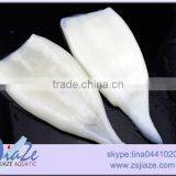 Fresh Seafood Squid Tube U5 U7 U10 U20 thumbnail-3