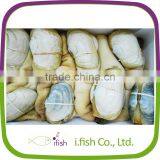 Geoduck Clams thumbnail-1