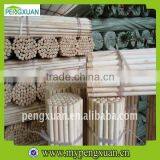 Factory Direct Sale Plant Support Stick for Gardening thumbnail-1
