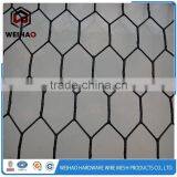 Double Twist Hexagonal Wire Mesh thumbnail-2