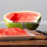 2016 Trade Assurance Supplier for the Stainless Steel 430 Material Watermelon Slicer Corer thumbnail-1