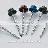 Roofing Nails With Plastic Cap thumbnail-2