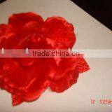 Silk Rose thumbnail-1