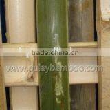 Nature Dry Straight Farming Bamboo Sticks for Sales thumbnail-3