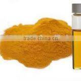 Turmeric Oil thumbnail-3