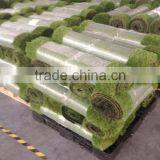 Dog Pet Mat Artificial Grass thumbnail-5