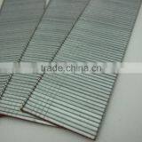 F19 Staple thumbnail-2