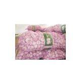 Low Price Fresh Garlic