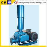 DSR100 Good Quality Roots Blower for Vacuum Impregnation thumbnail-1