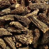 Dried Morchella Esculenta