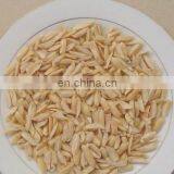 Big Discount High Efficiency Stainless Steel Peanut Chopper Peanut Chopping Machine thumbnail-6