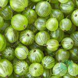 Agrilinks Frozen Gooseberry thumbnail-1