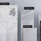 Foshan Opolo Tiles Co,Ltd company overview - view 1 thumbnail