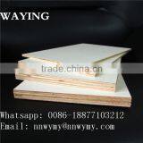 Larch Wood Plywood thumbnail-3