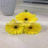 Fresh Cut Flower Of Stem 45-60 cm Gerbera Popular Wholesale thumbnail-4