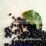 Small Black Kidney Beans thumbnail-4