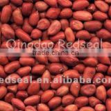 First quality Red Skin Peanut Kernels