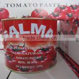 Thick Pasty Tomato Paste in Can 2200gram thumbnail-3