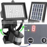 Solar Motion Wall Light