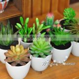Best selling high imitation plastic mini potted succulent artificial desert bonsai plant
