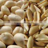 Food Machinery Peanut Roasting Blanching Production Line thumbnail-6