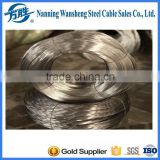 High Carbon Galvanized Steel Wire